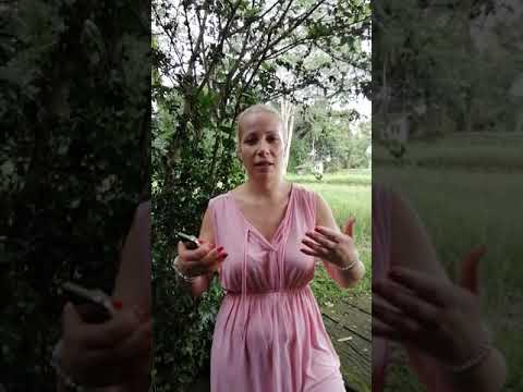 Maria Doncheva on the Basics of Life workshop with Maya Mandala — a video testimonial