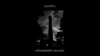 Psycho - Schwarzer Himmel (Elektro, House, Techno, Minimal, Deep, Mix)