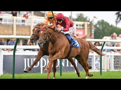 Rab Havlin: Frankie Dettori's going to pay me the money! 😂