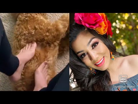 P1ES de MARÍA ELENA ANAYA