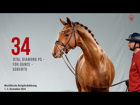 Reitpferdekörung 2024 Katnr.34 Total Diamond PS - For Dance - Sorento