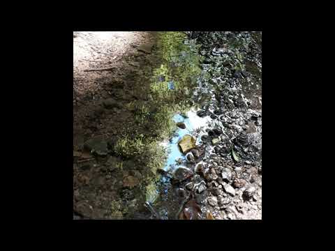 Joachim Spieth - Affinities | Headphone Commute