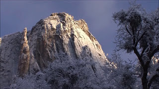 Музика в бяло - Васил Петров