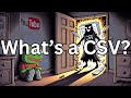 Amazon SWE Doesn T Know What A CSV File Is Call In 3