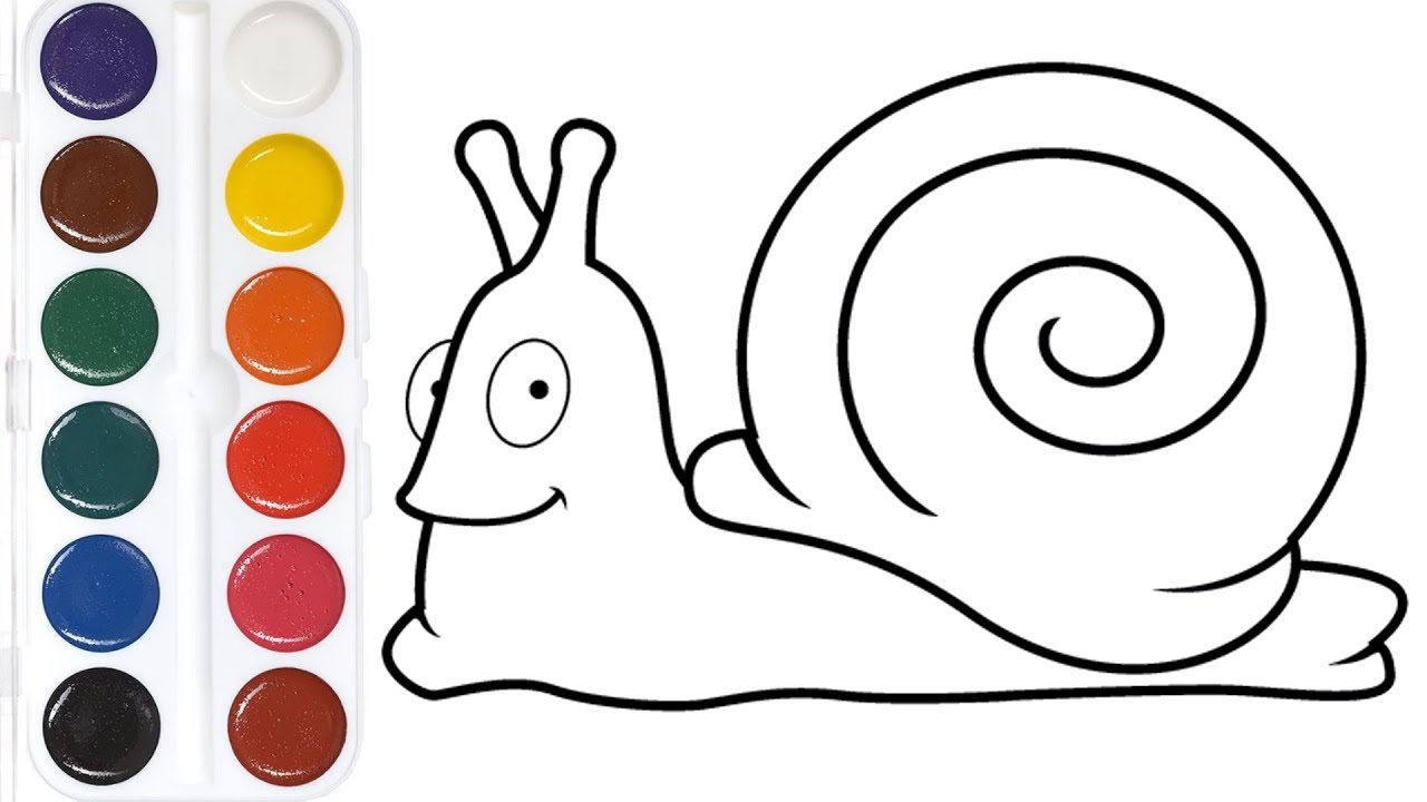 How to Draw Snail - Coloring and Drawing Coloring Pages Cochlea For Kids