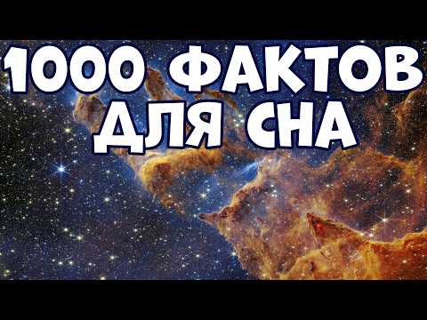 1000 FACTS FOR SLEEPING IN ONE VIDEO