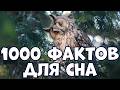 1000 FACTS FOR SLEEPING IN ONE VIDEO