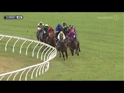 CAMBRIDGE STUD ZABEEL CLASSIC (G1) - Authentic Paddy