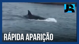 Miniatura do vídeo