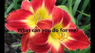Jewel- Jesus loves you + Lyrics.wmv