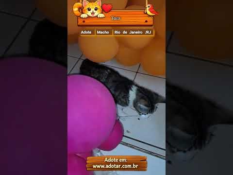Vídeo de Tom
