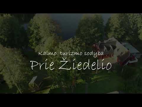 Prie Žiedelio #2