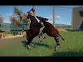 Okapi Fight Planet Zoo