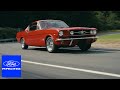 Liam Lawson Isack Hadjar Dream Day Ford Racing