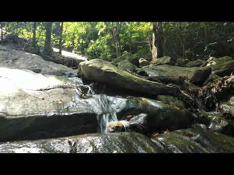 The Sound of a river in a free place makes your minds relaxed