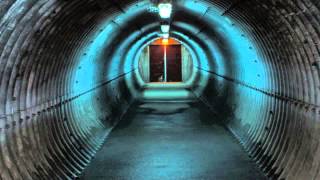 Gustav Grube - Lamb Shift (Dub Resort Remix)