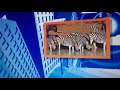 TBN Smile TV Bumper Zoo Clues