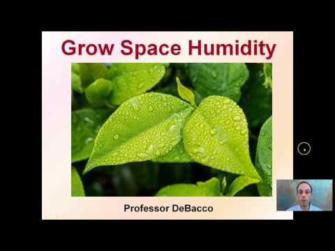 Grow Space Humidity