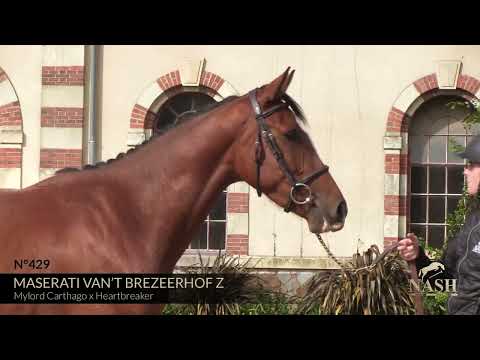 MASERATI VAN'T BREZEERHOF Z