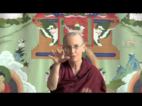 05-03-13 Equanimity for Carpenter Ants - BBCorner