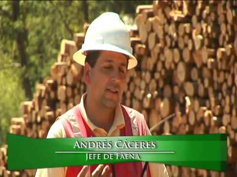 CASO JONATHAN GARCES