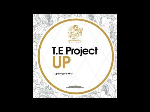 T.E Project - Up (Original Mix)