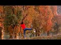Pachai Nirame Song Whatsapp Status