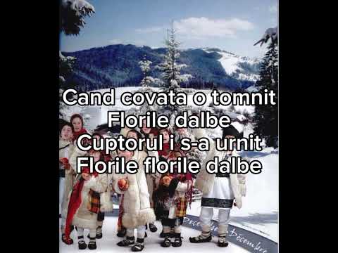 Scoală gazdă din pătuț (Sara Stoisor)-Negativ