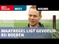 Advies: waterpeil verhogen tegen bodemverzakking, maatregel ligt gevoelig bij boeren [RTV Utrecht]