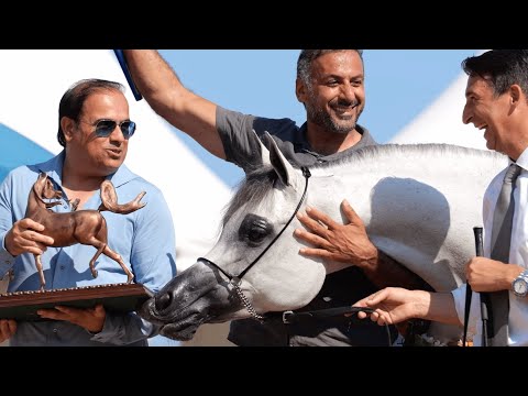 MENTON 2023 - The Aftermovie