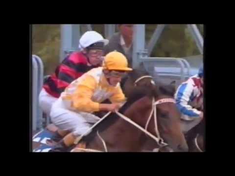 1991 VRC Melbourne Cup Day _ Dr Turf Declares Winner