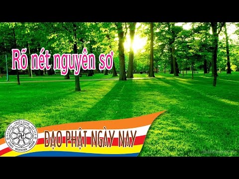 03. Rõ nét nguyên sơ