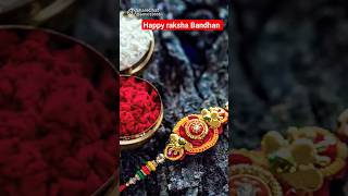 Meri Rakhi ka Matlab #rakshabandhan#shorts #shortvideo #shortsviral #trending#hindi @AssassinsARMY