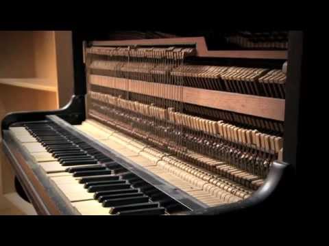 Basenia Feat. Sarah Foley - Go Insane (Behind the Scenes) In Studio