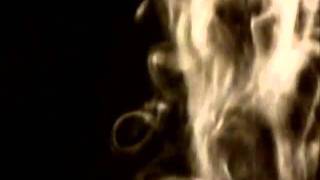 Mimicking Birds - Them