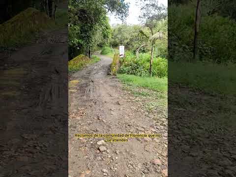 Promesas institucionales que no se cumplen en la vereda Florencia, Totoró, Cauca