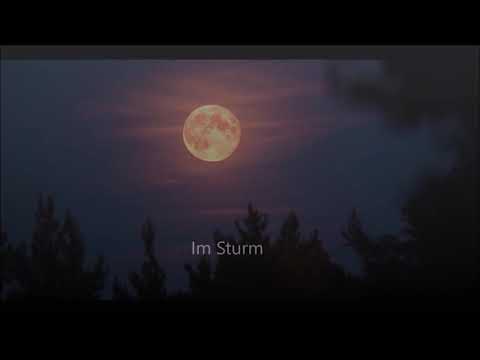 Philista - Verflixtes Missgeschick (Flute Beat)