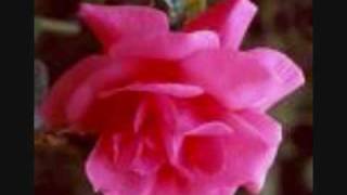 Oooh-Cherish-My 1st vid!!!!