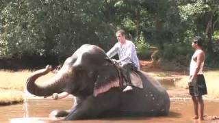 preview picture of video 'Goa Elephant shower'