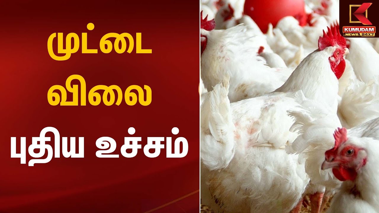முட்டை விலை புதிய உச்சம் | Egg Rate | Kumudam News