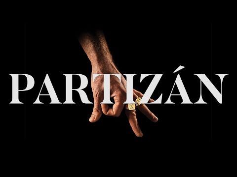 Punnany Massif - Partizán (PMXV Version)