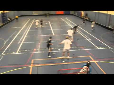 Innebandy Hjärnarps Ibk - Göinge 121214.wmv