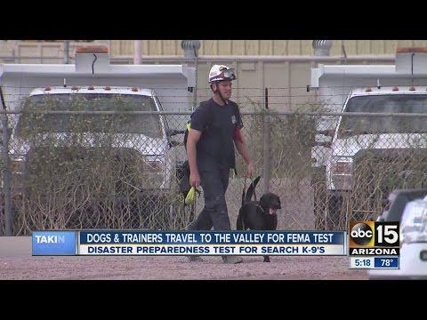 Dogs, trainers test for FEMA disaster preparedness exam