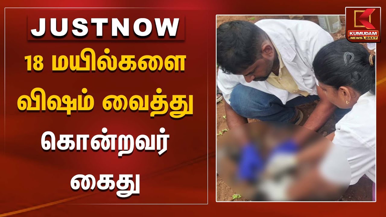 18 மயில்களை விஷம் வைத்து கொன்றவர் கைது | Peacock | Kumudam News