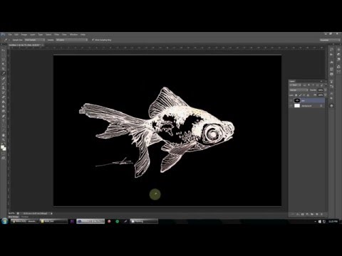 How to invert colors in Photoshop - Adobe