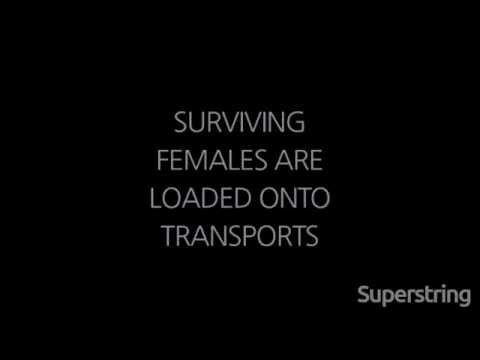 Infant Annihilator - Cuntcrusher (Lyric Video)