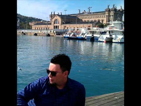 APOLOGIZE - LAZE DAMJANOVSKI ( cover )