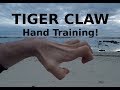 Tiger Claw Kung Fu Hand Position And Conditioning