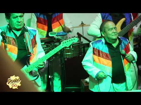 Los Shapis (Colegiala,Cusqueñita, Chofercito, Aguajal, Que Pena) Peña Turistica Pocho