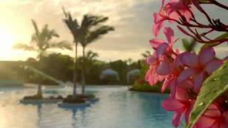 Norwegian Cruise Line: Harvest Caye Norwegian Cruise Line: Harvest Caye